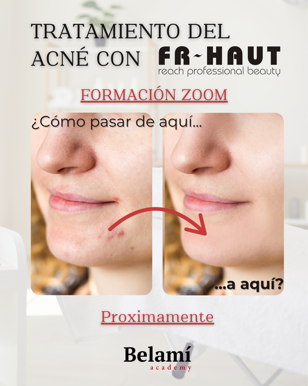 Conoce nuestras marcas